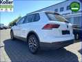 Volkswagen Tiguan 1.5 TSI DSG Navi Kamera eHeckklappe Bianco - thumbnail 8