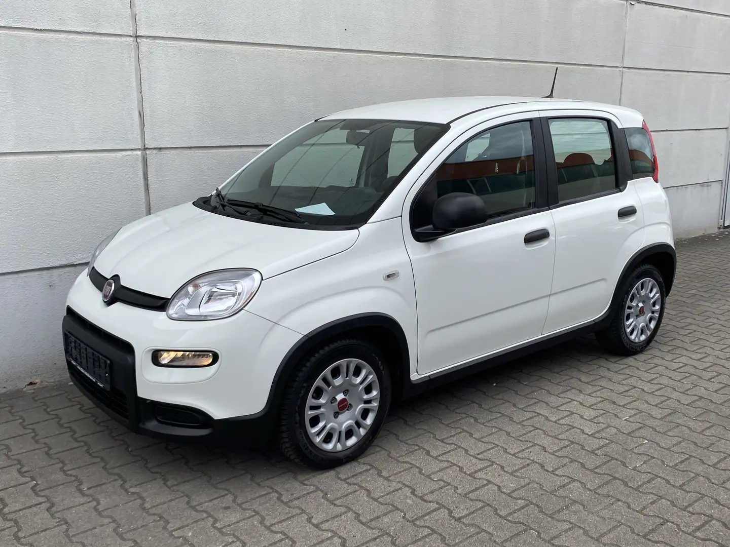 Fiat Panda 1.0 Mild Hybrid  Base Klima DAB Weiß - 2