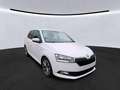 Skoda Fabia Clever 1.0 MPI PDC+SHZ+SMART LINK+ Klima Weiß - thumbnail 2