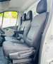 Renault Trafic T27 1.6 dCi 120CV PC-TN SOLO 39.000 KM SCAFFALI Bianco - thumbnail 10
