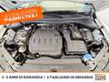 Volkswagen Tiguan 2.0 tdi r-line 150cv dsg Bianco - thumbnail 15