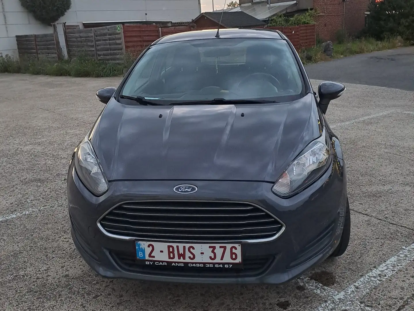 Ford Fiesta Fiesta 1.0i Trend Синій - 1
