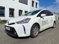 Toyota Prius Prius+ (Hybrid) Comfort Bianco - thumbnail 1