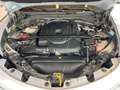 Alfa Romeo Stelvio Stelvio 2.2 Turbodiesel 190 CV AT8 Q4 Sprint Bianco - thumbnail 15