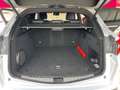 Alfa Romeo Stelvio Stelvio 2.2 Turbodiesel 190 CV AT8 Q4 Sprint Bianco - thumbnail 13
