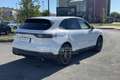 Porsche Cayenne Cayenne 3.0 V6 Bianco - thumbnail 5