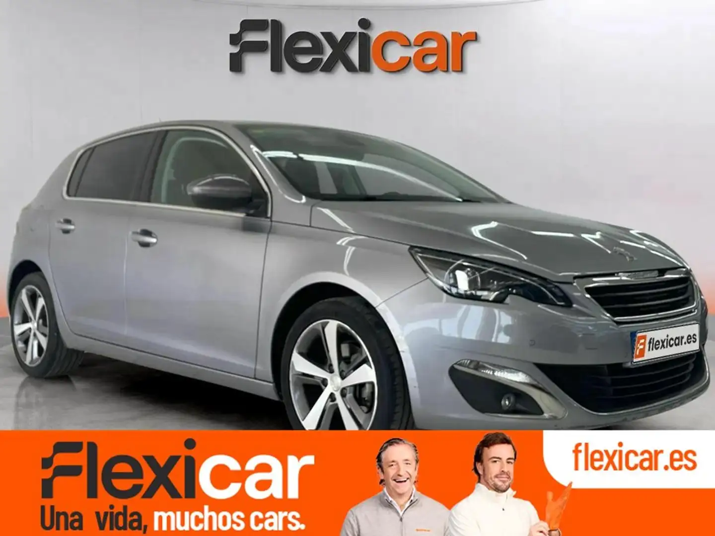 Peugeot 308 5p Active 1.6 BlueHDi 88KW (120CV) Gris - 1