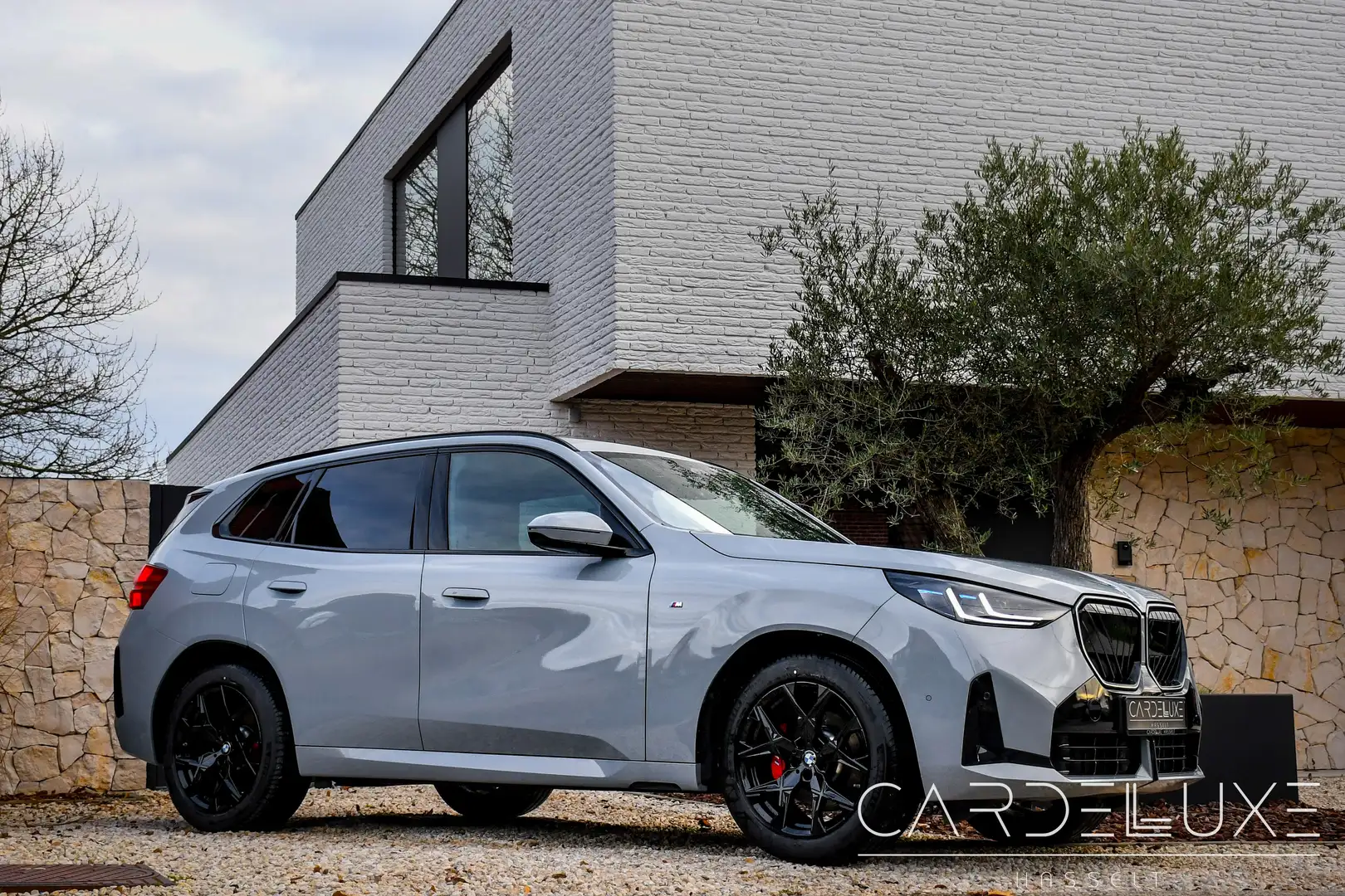 BMW X3 X3 20 xDrive | MSPORTPRO | LED GRILL |H&K |TRKHAAK - 1