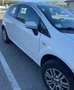Fiat Punto Punto 3p 1.4 natural power Easy 70cv Bianco - thumbnail 4