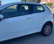 Fiat Punto Punto 3p 1.4 natural power Easy 70cv Bianco - thumbnail 3