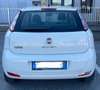 Fiat Punto Punto 3p 1.4 natural power Easy 70cv Bianco - thumbnail 2