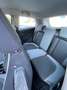Fiat Punto Punto 3p 1.4 natural power Easy 70cv Bianco - thumbnail 6