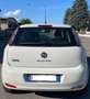 Fiat Punto Punto 3p 1.4 natural power Easy 70cv Bianco - thumbnail 11