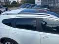 Nissan Qashqai+2 2.0 dCi DPF 4WD aut. Tekna Bianco - thumbnail 5