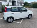 Fiat Panda Panda III 2012 1.2 Easy 69cv Blanc - thumbnail 2