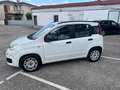 Fiat Panda Panda III 2012 1.2 Easy 69cv Blanc - thumbnail 4