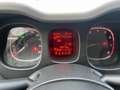 Fiat Panda Panda III 2012 1.2 Easy 69cv Blanc - thumbnail 12