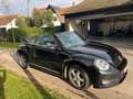 Volkswagen Beetle The Cabriolet 1.2 TSI Design Noir - thumbnail 7