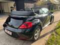 Volkswagen Beetle The Cabriolet 1.2 TSI Design Noir - thumbnail 3