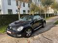Volkswagen Beetle The Cabriolet 1.2 TSI Design Noir - thumbnail 5