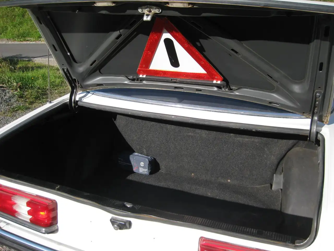 Mercedes-Benz 230 W123, foto 5