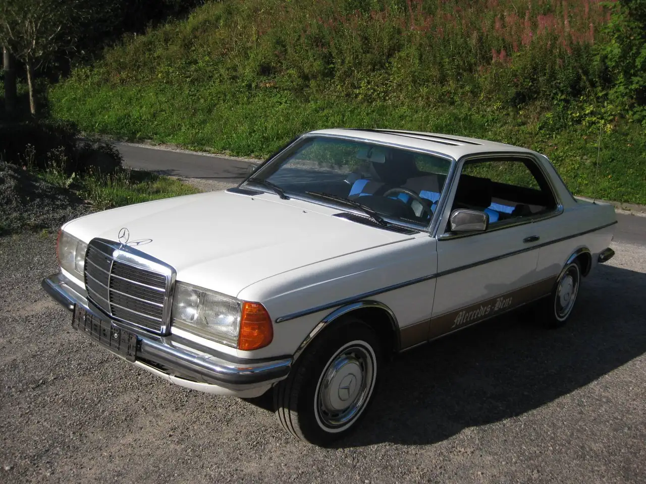 Mercedes-Benz 230 W123, foto 7