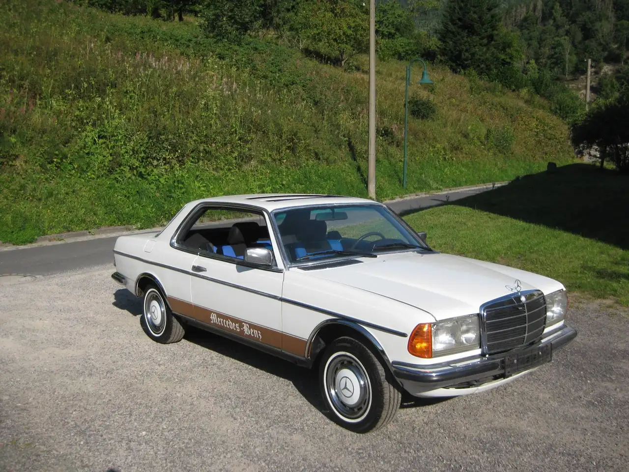Mercedes-Benz 230 W123, foto 2