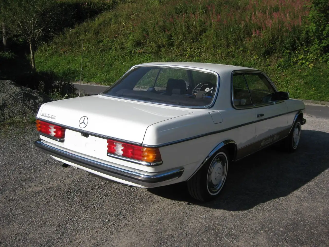 Mercedes-Benz 230 W123, foto 3