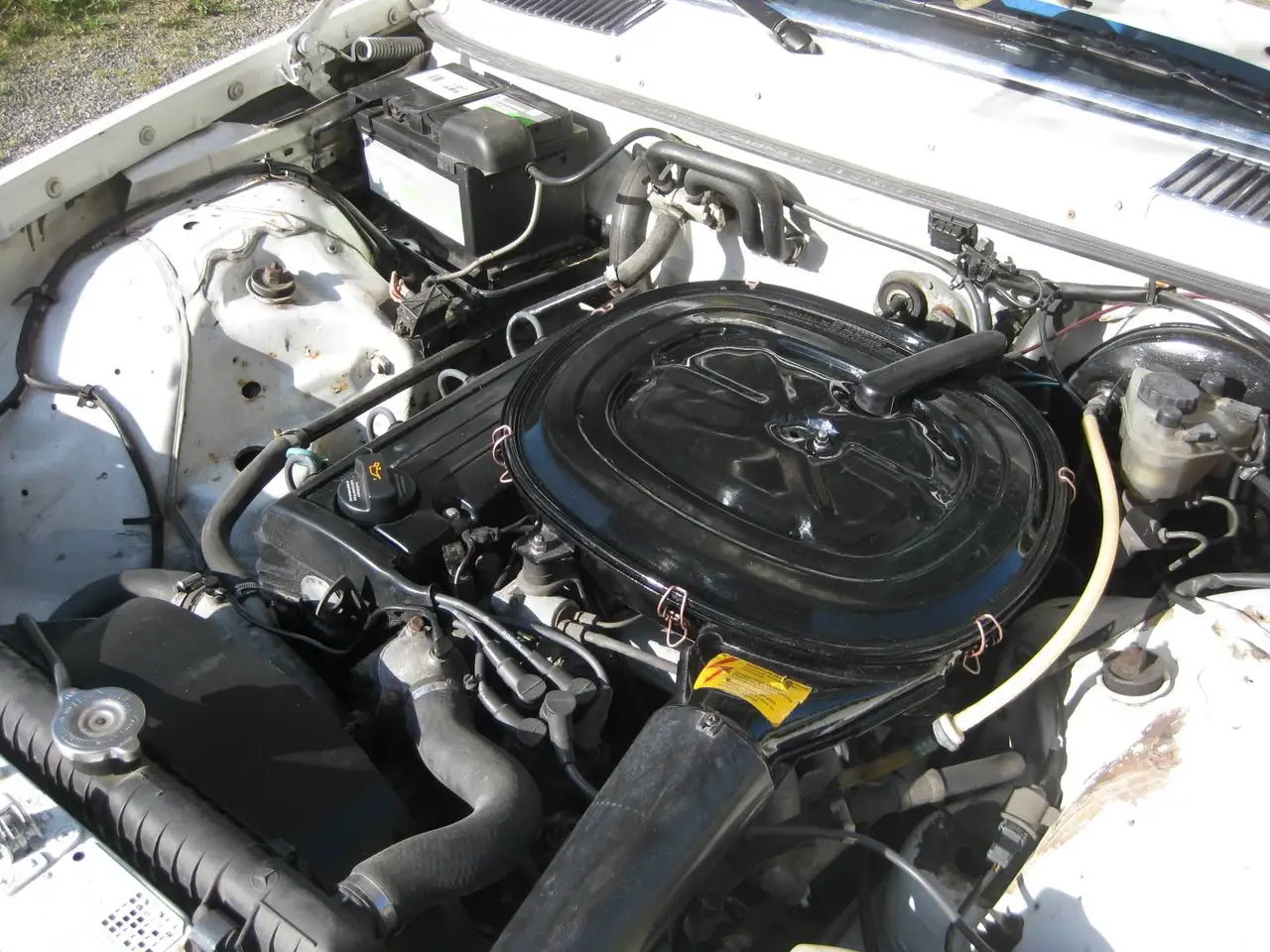 Mercedes-Benz 230 W123, foto 8