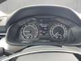 Skoda Kamiq 1.0 TSI Clever SHZ GRA LED PDC Rood - thumbnail 12