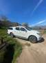 Nissan Navara 2.3 dci d.cab Tekna 4wd 190cv Bianco - thumbnail 3