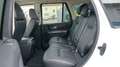 Land Rover Range Rover Sport SDV6 Weiß - thumbnail 12