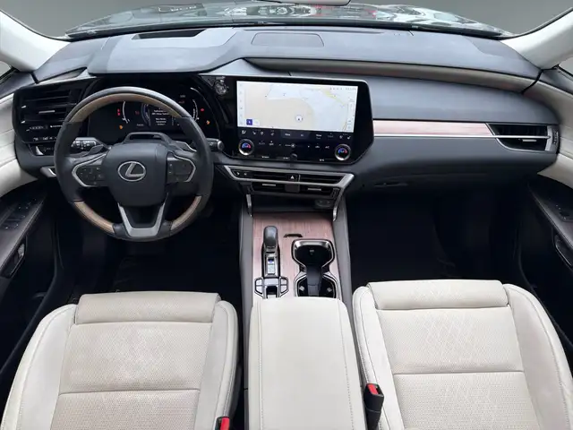 Lexus RX view 11