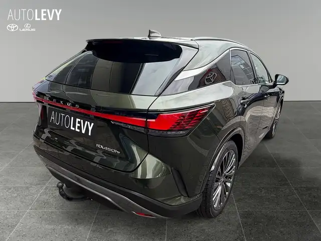 Lexus RX view 6