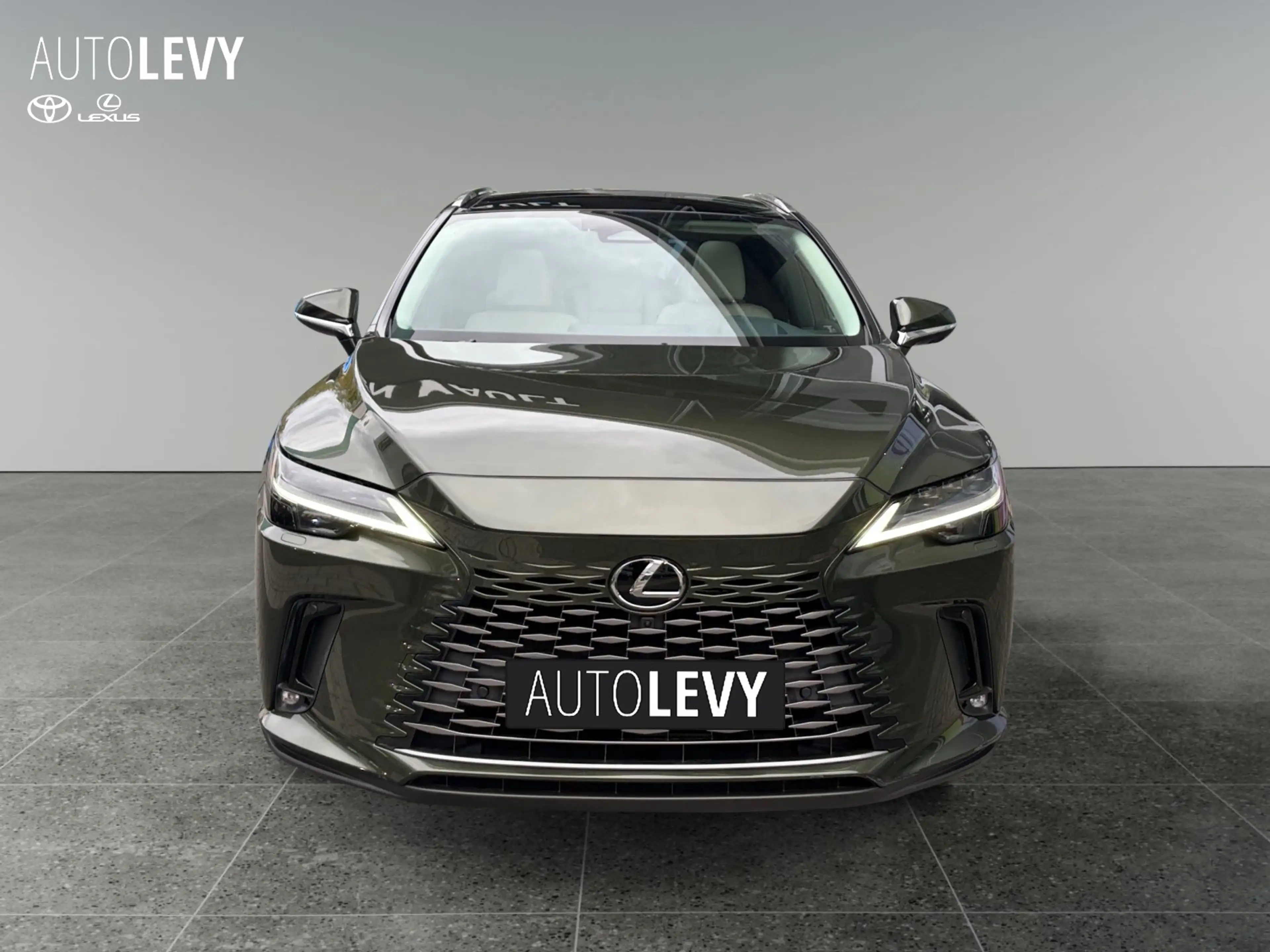 Lexus RX 450h + E-Four Luxury PANO/AHK/MEMORY — photo 9