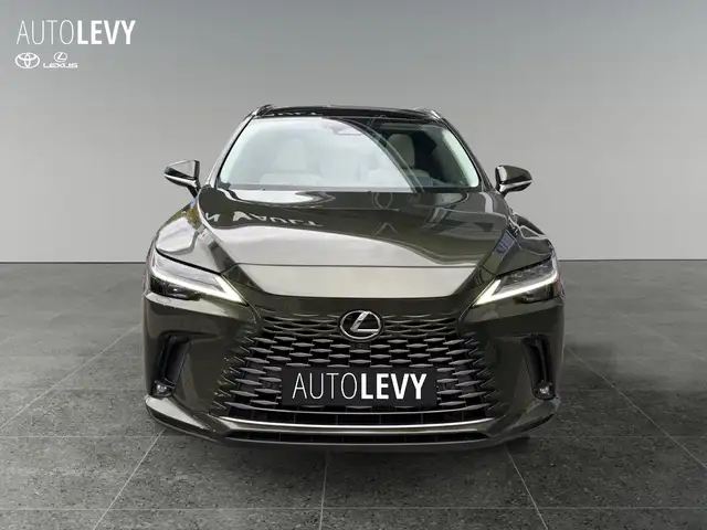 Lexus RX view 9