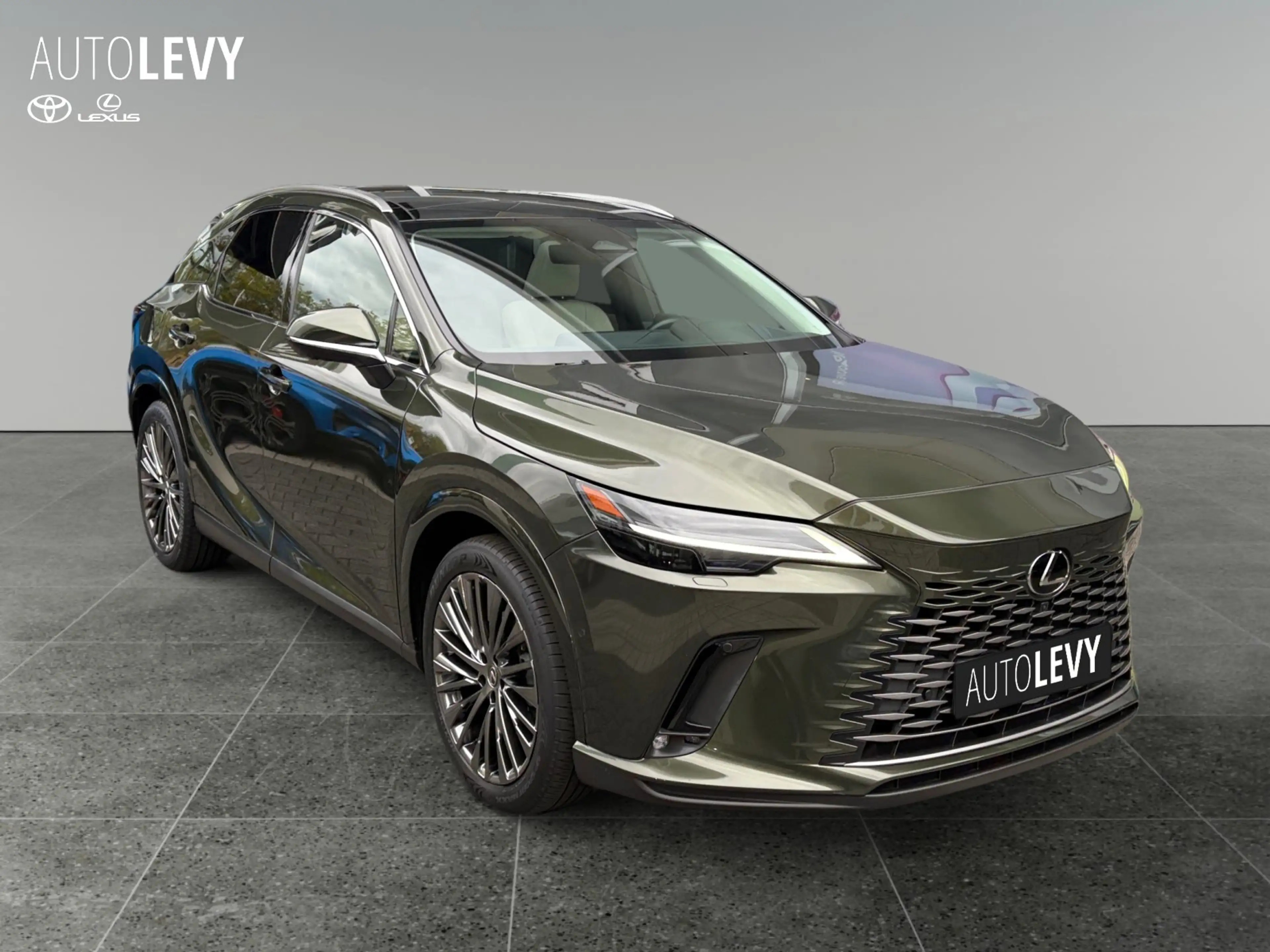 Lexus RX 450h + E-Four Luxury PANO/AHK/MEMORY — photo 8