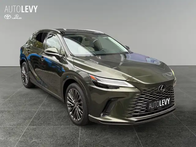 Lexus RX view 8