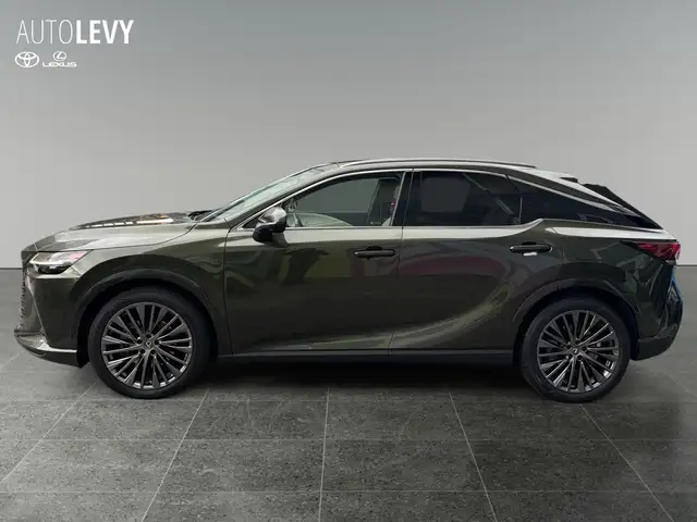 Lexus RX view 3
