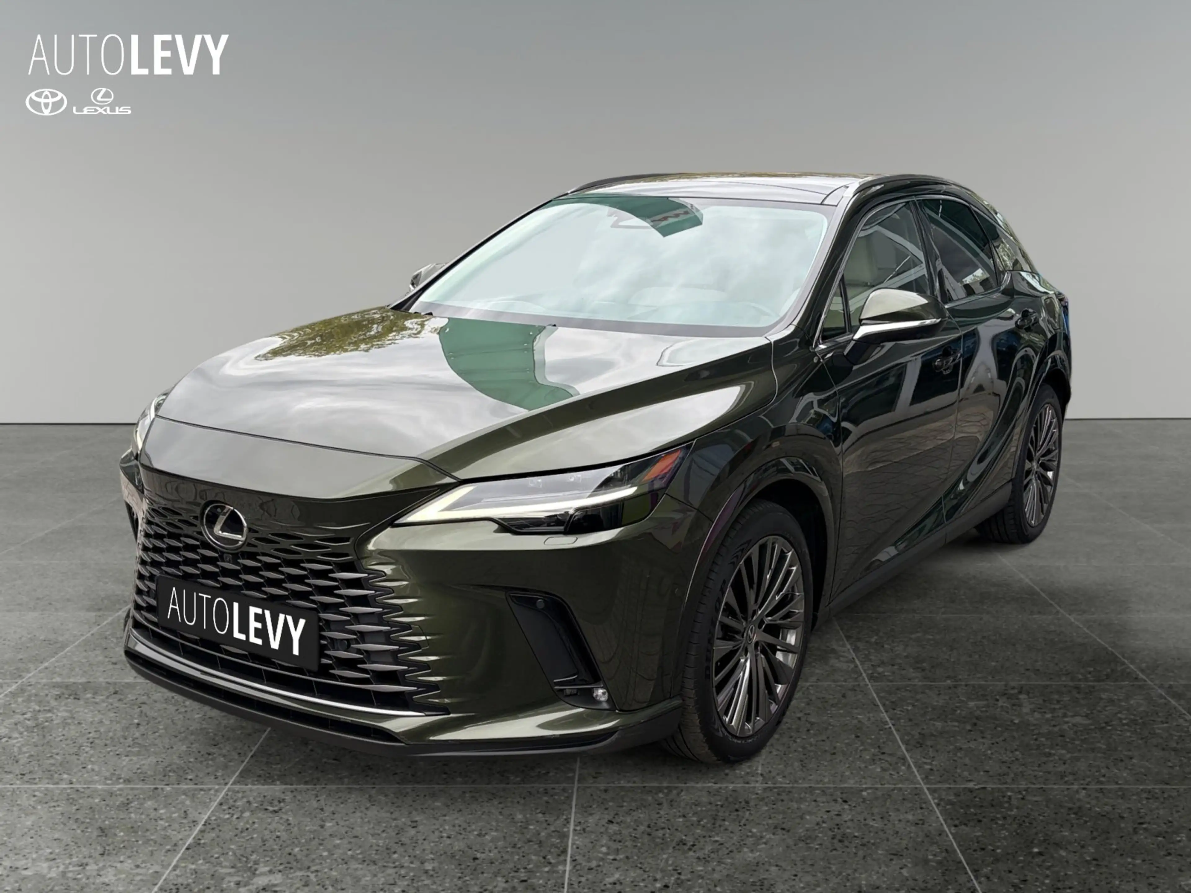 Lexus RX 450h + E-Four Luxury PANO/AHK/MEMORY — photo 2