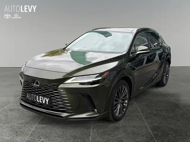 Lexus RX view 2