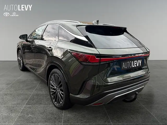 Lexus RX view 4