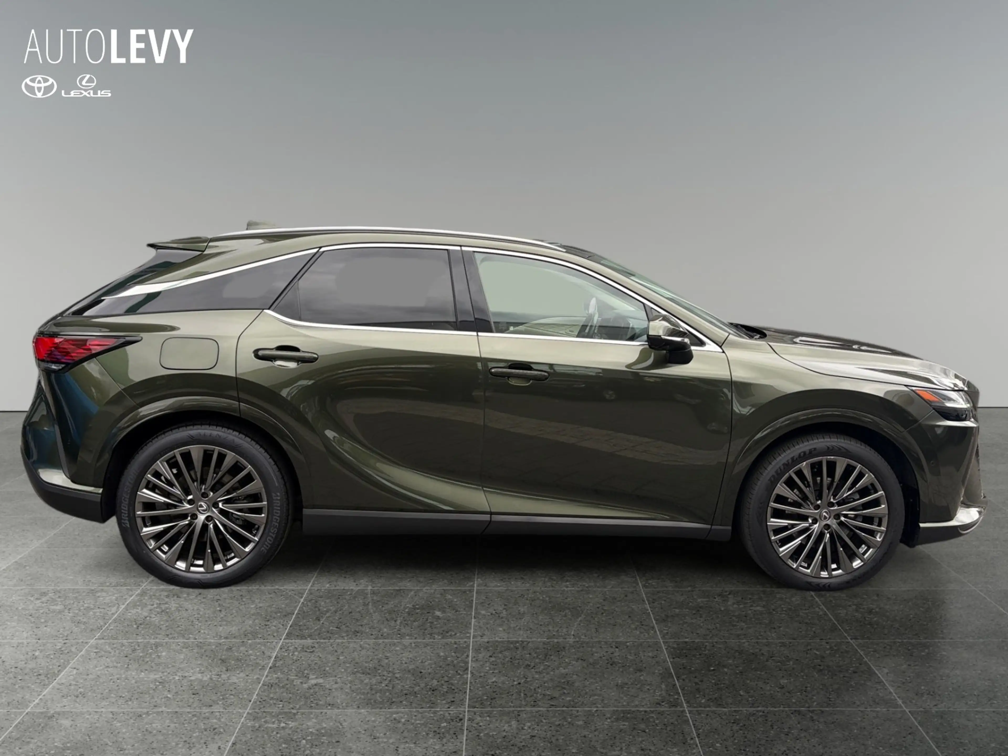 Lexus RX 450h + E-Four Luxury PANO/AHK/MEMORY — photo 7