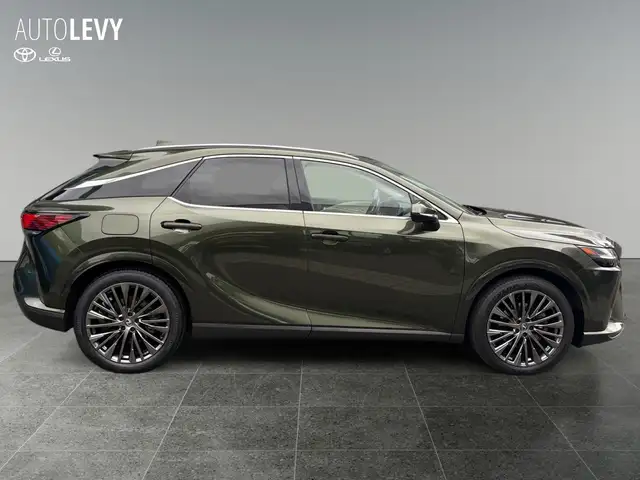 Lexus RX view 7