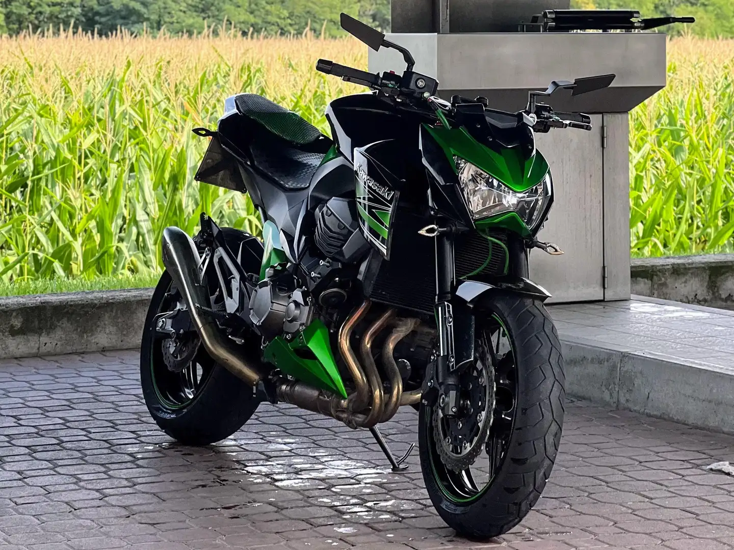 Kawasaki Z 800 Verde - 1