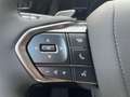 Lexus RZ Executive Line Zwart - thumbnail 13