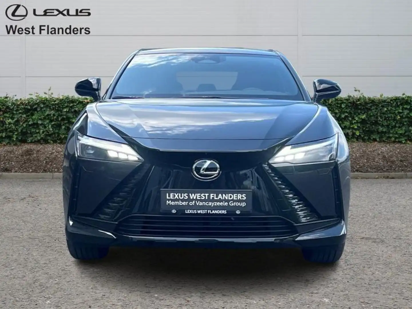 Lexus RZ Executive Line Zwart - 2