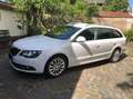 Skoda Superb Superb Combi 2.0 TDI DSG Exclusive Weiß - thumbnail 1