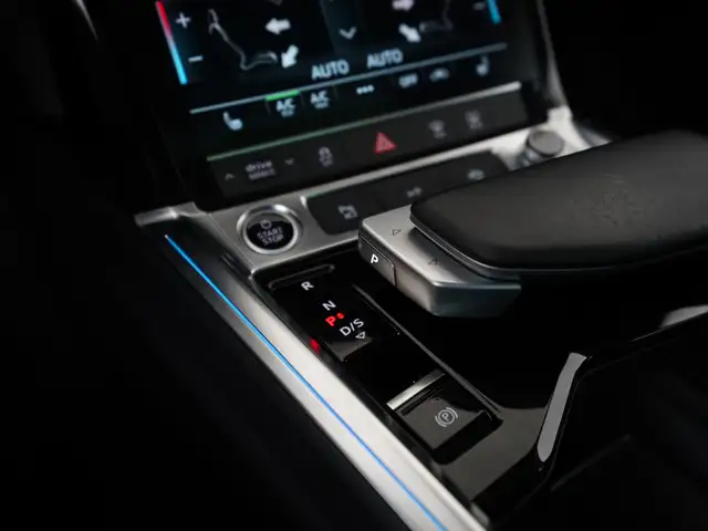 Audi E-Tron view 10