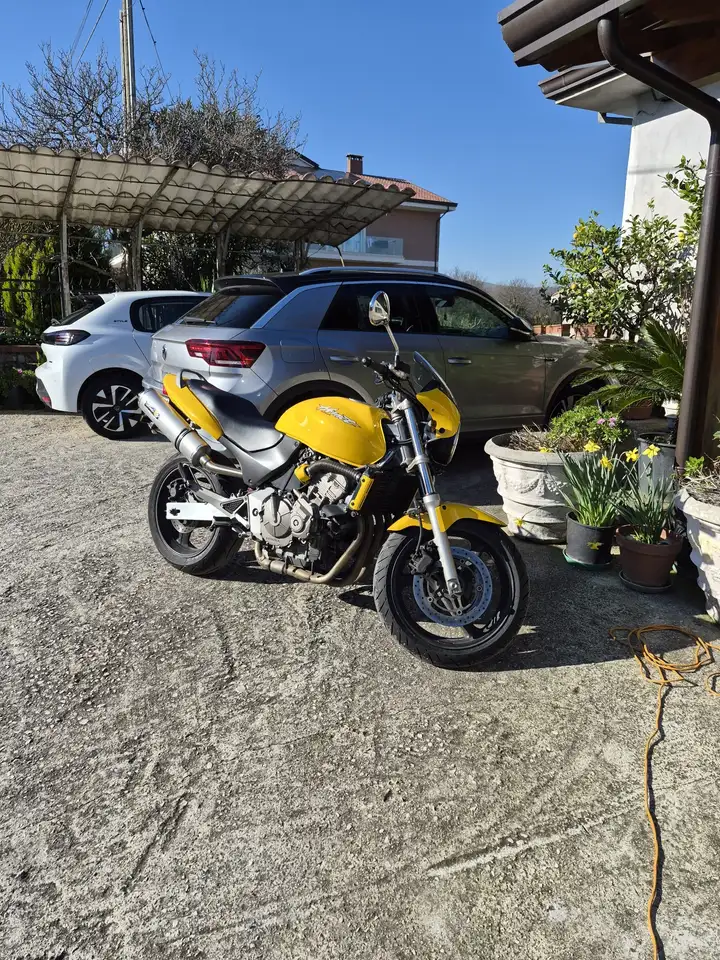 Honda Hornet